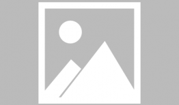 番茄视频下载,轻松获取海量精彩内容